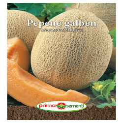 Seminte pepene galben...