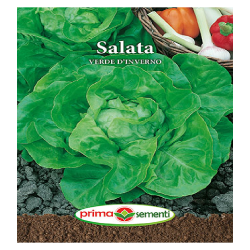 Semințe salata Verde D`Inverno