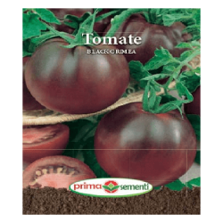 Seminte tomate Black Crimeea