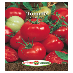 Seminte tomate Buzau 1600