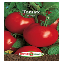 Seminte tomate Buzau 47