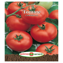 Seminte tomate Campbell 33