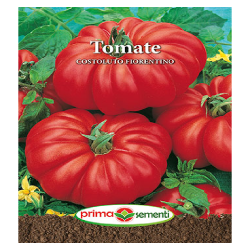 Seminte tomate Costoluto...