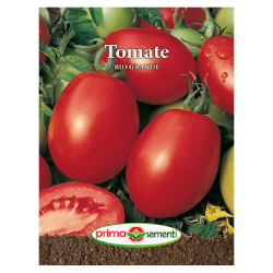 Seminte tomate Rio Grande