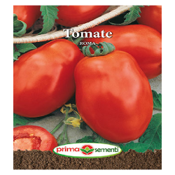 Seminte tomate Roma