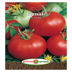Semințe tomate St. Pierre