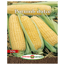 Seminte porumb dulce Golden...