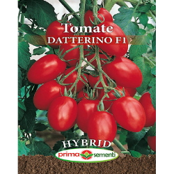 Seminte tomate Datterino F1...