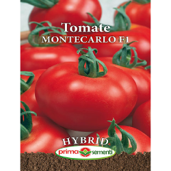 Seminte tomate Montecarlo...