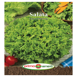 Seminte salata Lollo Bionda GP