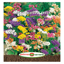 Seminte Saraturica mix GP