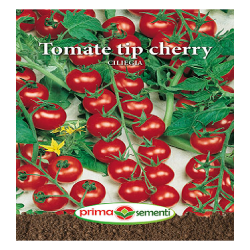 Seminte tomate (tip Cherry)...