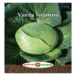Seminte varza de toamna...