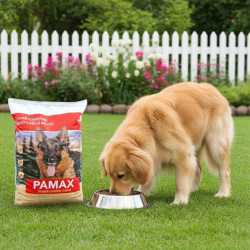 pamax hrana caini 10kg