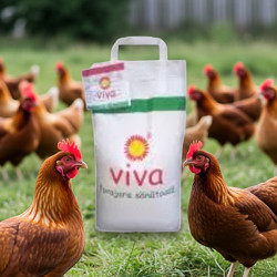 Concentrat pentru gainile ouatoare, Viva, 10 kg
