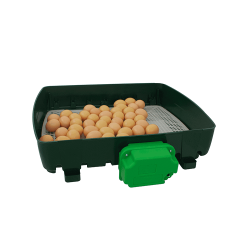 Incubator digital ET49