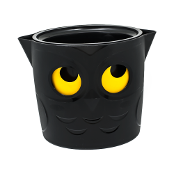 Ghiveci Bufnita cu...