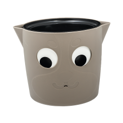 Ghiveci Catelus cu...