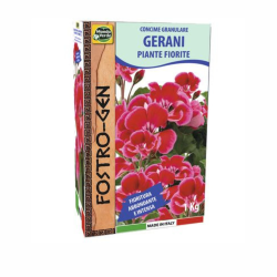 Ingrasamant Geranium, 1 kg