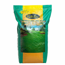 Seminte Gazon Soare, 10 kg