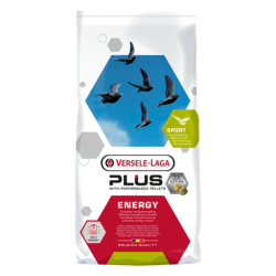 Plus Energy, hrana...