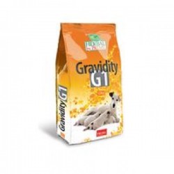 Premil Gravidity G1, hrană...