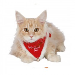 Zgarda cu esarfa, rosu,...