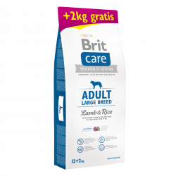 Brit Care Adult Large,...