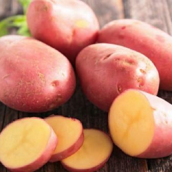 Cartofi rosii pentru...