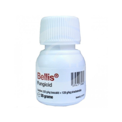 Bellis, fungicid, 20 gr