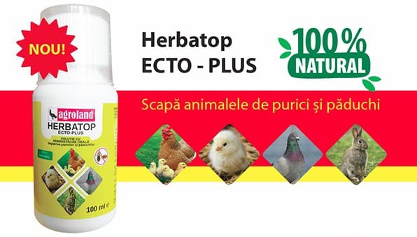 Herbatop Ecto Plus