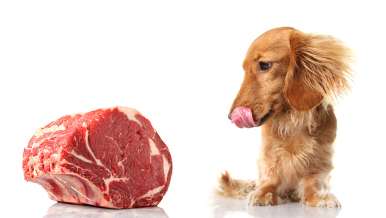 Carne crudă pentru câini