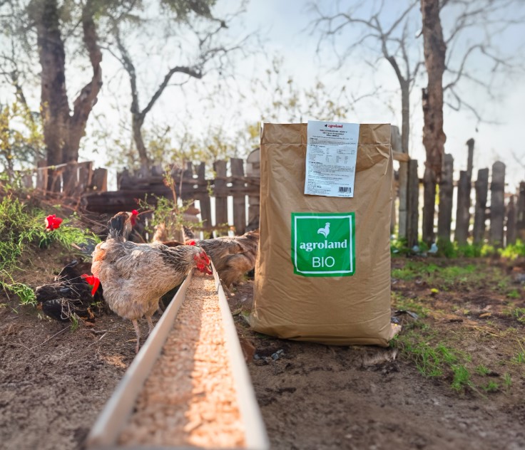 diferența dintre furaje și concentrate