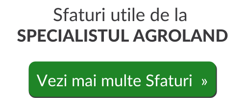 Află ce este ologeala la păsările de curte și cum poate fi prevenită sau tratată. 