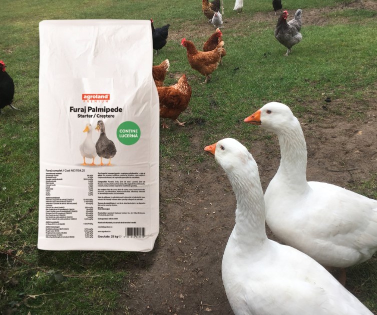 furaj pentru rațe și gâște