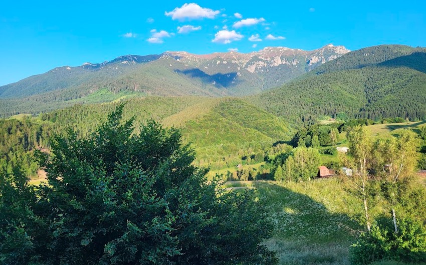 Concesionarea terenurilor pentru împădurire