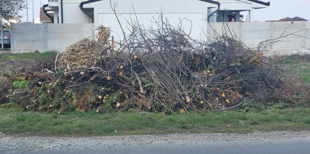 curățarea pomilor primăvara