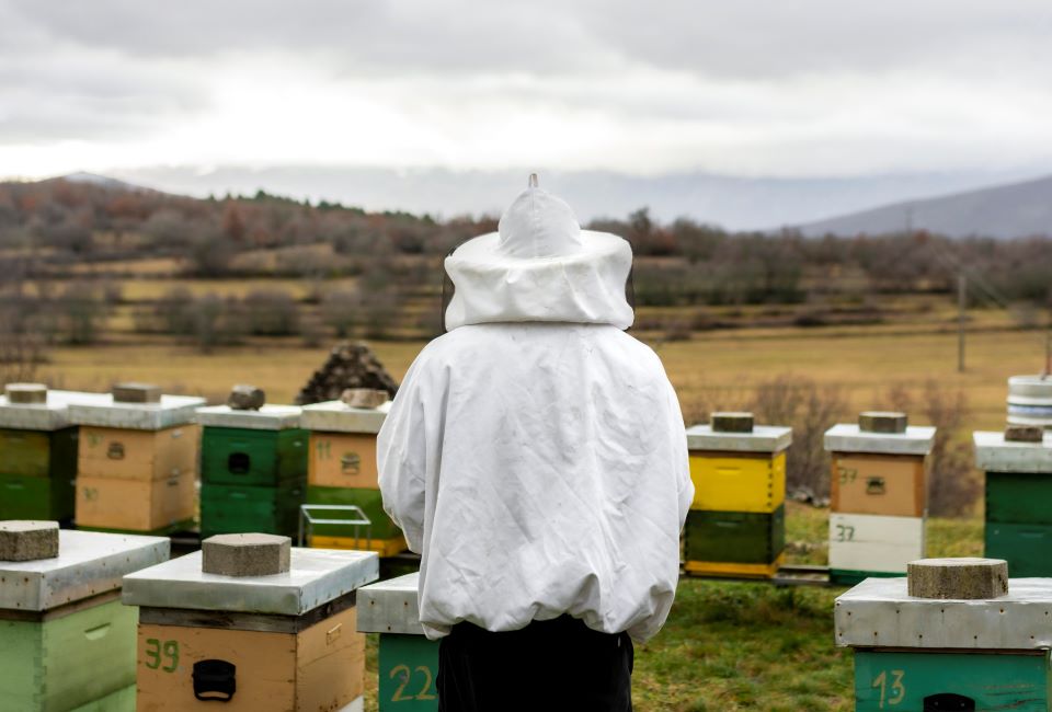 curățarea stupului