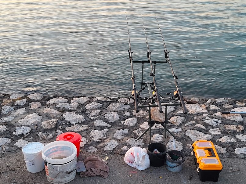 perioade de prohibiție la pește