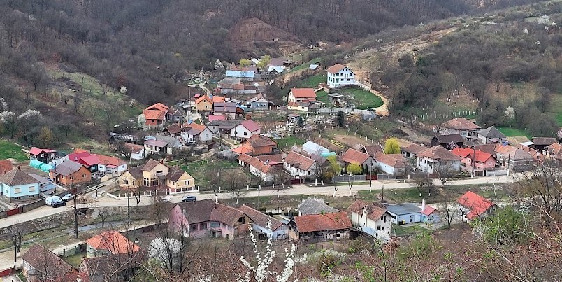 elimină depunerile de mușchi pe acoperiș