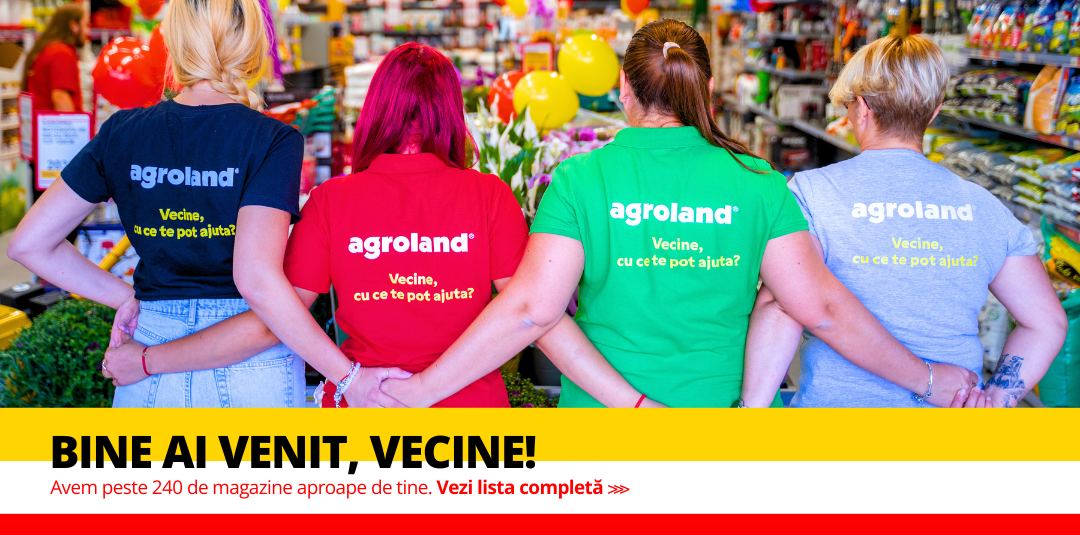 Către lista de magazine